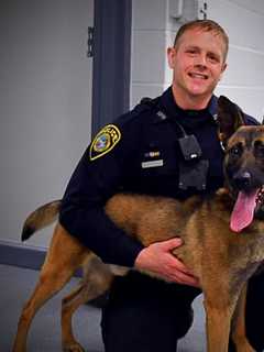 Police Department In Hudson Valley Welcomes New K-9 Officer From Europe