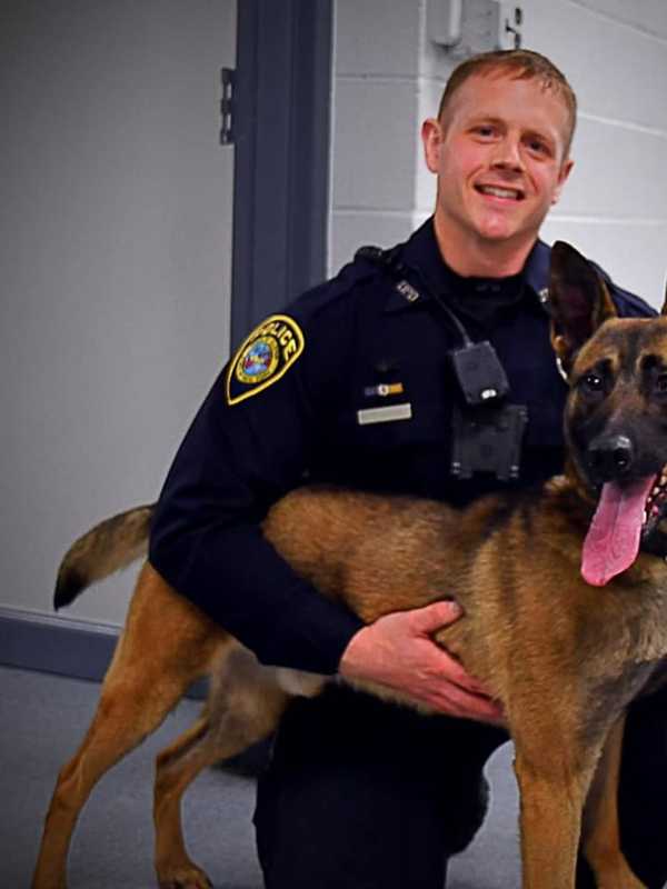 Police Department In Hudson Valley Welcomes New K-9 Officer From Europe