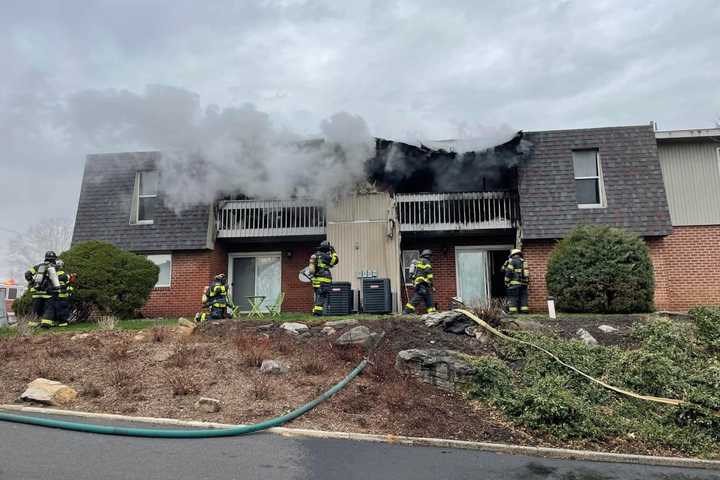 Two Firefighters Hurt Battling Whitehall Township Building Fire