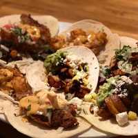 <p>A sampling of street tacos.</p>