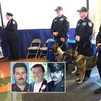 <p>Port Authority Police Officer Erik Brozek (with Cirri), Officer Kevin Duffy (with Perry) and Steven Paluzzi (with Vinny).</p>