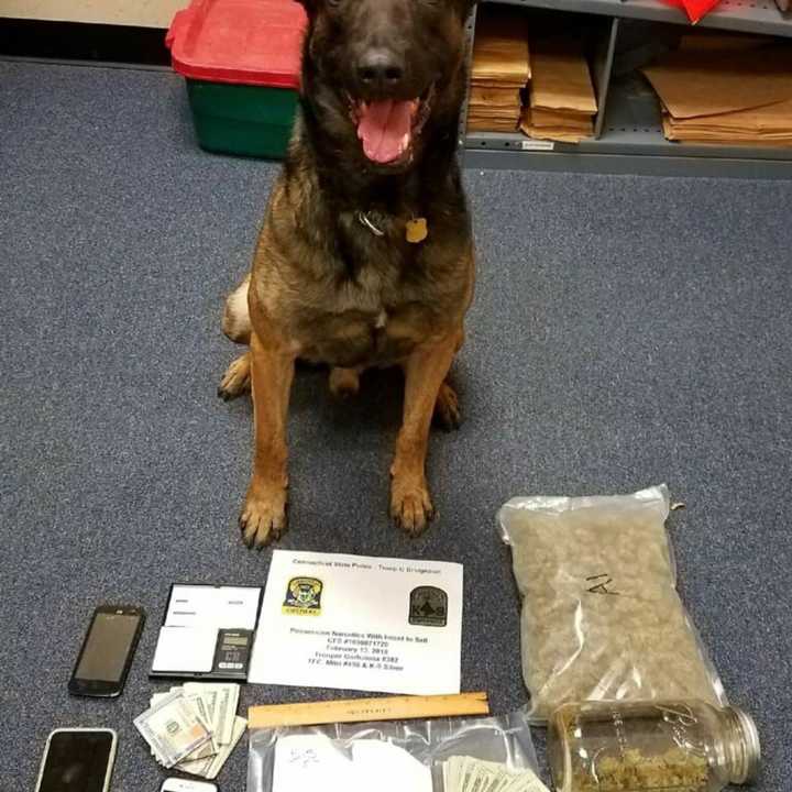 K9 Silver helped Connecticut State Police troopers recover cocaine, marijuana and nearly $2,500 in cash.