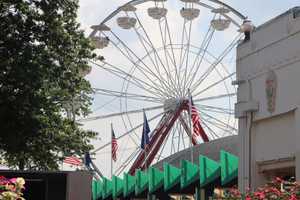 Osprey Nest Causes Closure At Popular Playland Ride In Westchester