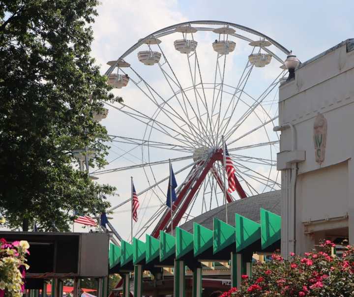 Osprey Nest Causes Closure At Popular Rye Playland Ride | Rye Daily Voice