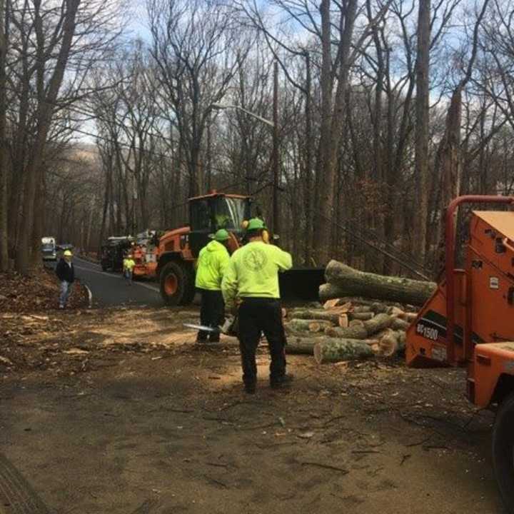 County and O&amp;R employees work to remove a tree blocking Wilder Road.