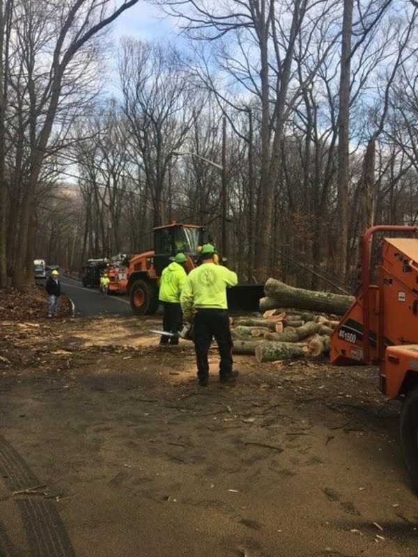 Downed Tree, Wires In Ramapo Causes Delays On Wilder Road