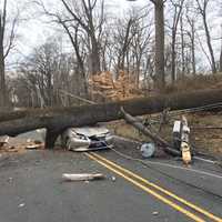 <p>Winter Storm Riley wreaked havoc across New Jersey.</p>