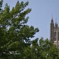 <p>Princeton University</p>