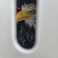 <p>Officers were able to safely get the eagle into a crate without injuring it further</p>