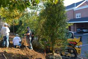 Darien Tree Conservancy Celebrates Milestone, Welcomes New Board Members