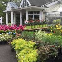 Flowers Everywhere: Greenwich Non-Profit Holds Annual Fundraising Event