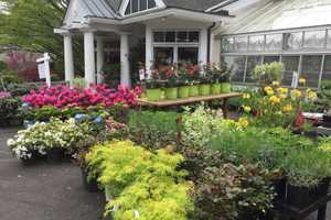 Flowers Everywhere: Greenwich Non-Profit Holds Annual Fundraising Event