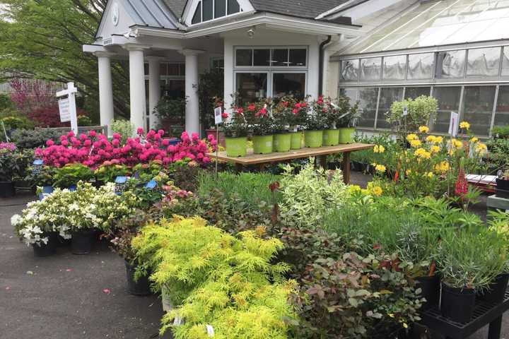 Flowers Everywhere: Greenwich Non-Profit Holds Annual Fundraising Event