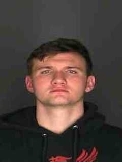 Westchester Man Charged With DWI After Crashing Into Hedges, Tree, Police Say