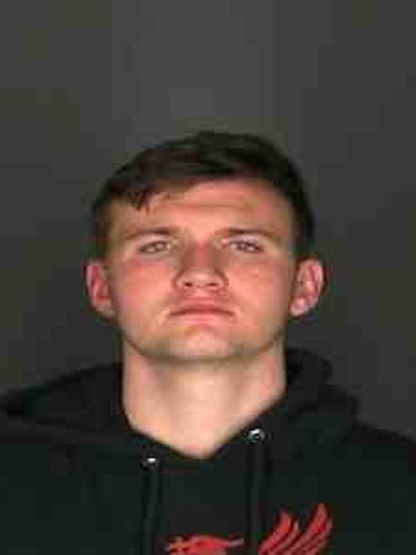 Scarsdale Man Charged With DWI After Crashing Into Hedges, Tree, Police Say