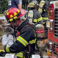 <p>Two cats were rescued and given oxygen through masks.on Dunn Road in Airmont on Wednesday, Sept. 7. A third feline didn&#x27;t make it.</p>