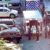 <p>Anthony Quinones is loaded into an ambulance after the nearly two-hour Hudson River ordeal.</p>