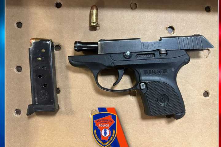 Teen Duo Nabbed In Northern Westchester With Gun Following Chase, Police Say