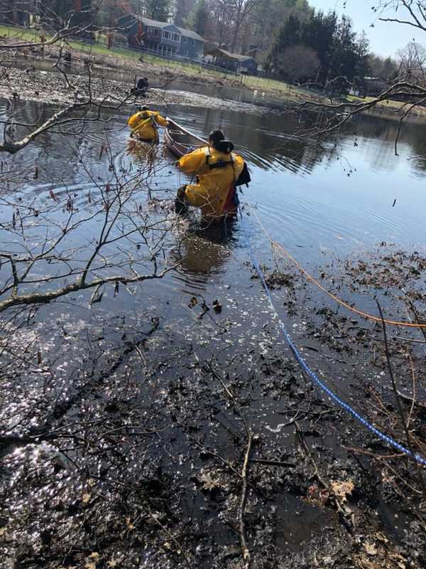 Trapped Dog Rescued In Shelton