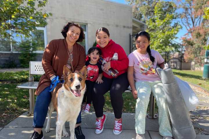 Virginia Family Looking For New Dog Reunites With Old Dog At Shelter