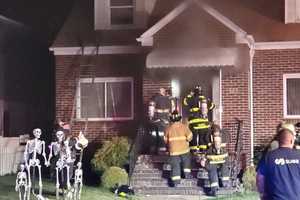 Family Cat Killed In Lyndhurst House Fire