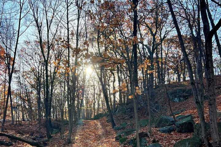 No Foul Play Suspected In Death Of Man Found At Garrett Mountain