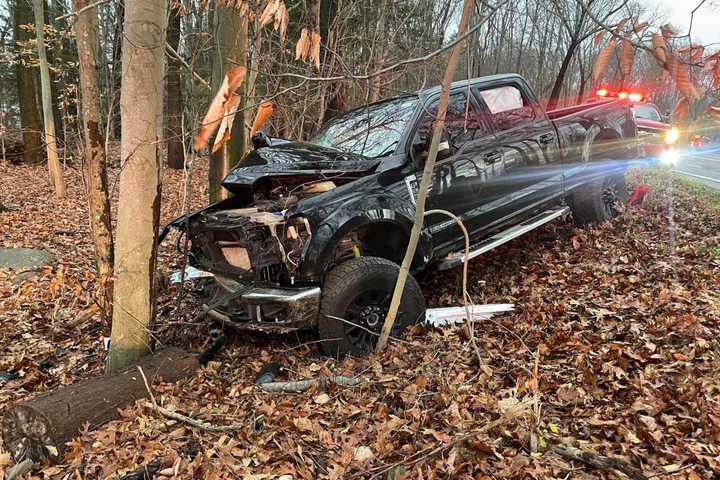 Driver Injured After Truck Slams Into Tree In Westchester County