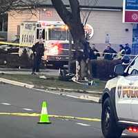 <p>The Jeep Cherokee slammed into this tree on the side of northbound Route 17 in Ramsey, responders said.</p>