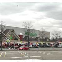 <p>Stew Leonard&#x27;s, Paramus</p>