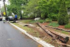 Camaro Downs Paramus Utility Pole