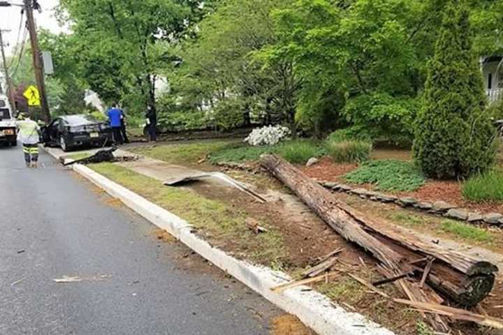 Camaro Downs Paramus Utility Pole