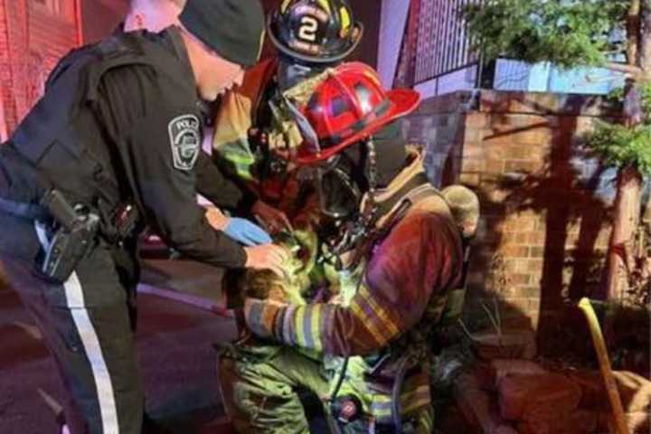 Kitty's Back: Elmwood Park Firefighter Rescues Frightened Feline From Smoky Blaze