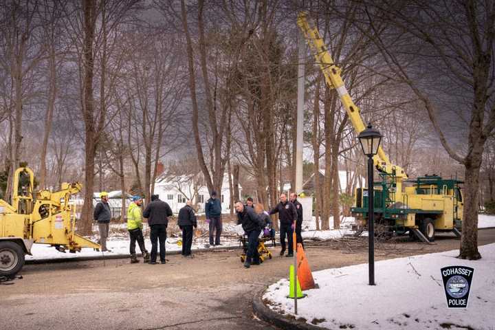 Cohasset Tree Worker Knocked Out By Limb Chopped Down By Co-Worker: Police