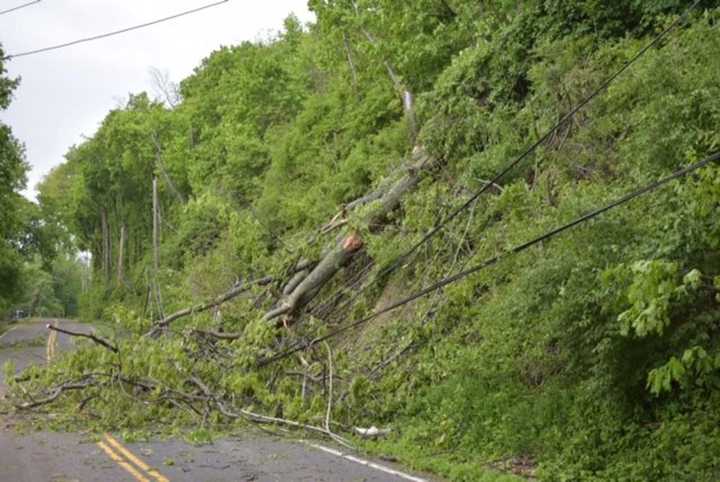 A downed tree from Tuesday&#x27;s severe storm system.