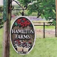 <p>Hamilton Farms</p>