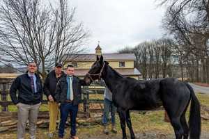 Alabama Man Stole Racehorse From York County, PA State Police Say