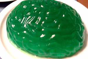 Family Event In Orangeburg Uses Brains To Teach Children