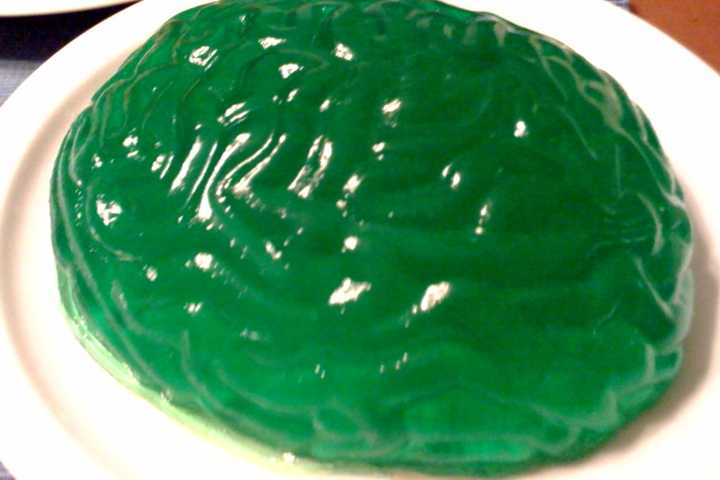 Family Event In Orangeburg Uses Brains To Teach Children