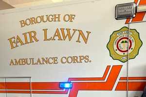 Falling Tree Limb In Fair Lawn Knocks Elmwood Park Man Off Ladder