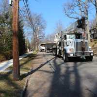 <p>While cutting a tree, contracting crews came across the massive bee hive in Pelham.</p>