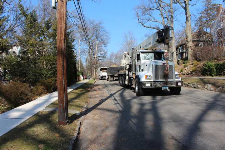 While cutting a tree, contracting crews came across a massive bee hive in Pelham.