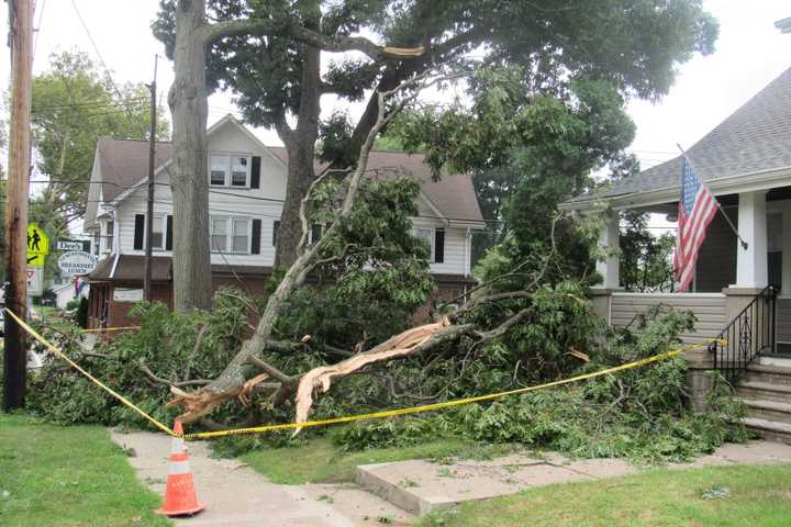 Snapped Tree Limb Clips Hawthorne Home