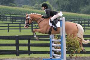 Horses Competing At Millbrook Trials