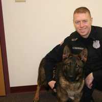 <p>K9 Officer Radar and his handler, Detective Sergeant Alex Vanderwoude.</p>