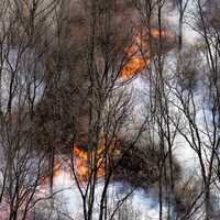 <p>Folks will have to contend with smoke north and east of the fire – at least until some rain wets it down, the New Jersey Forest Fire Service said.</p>