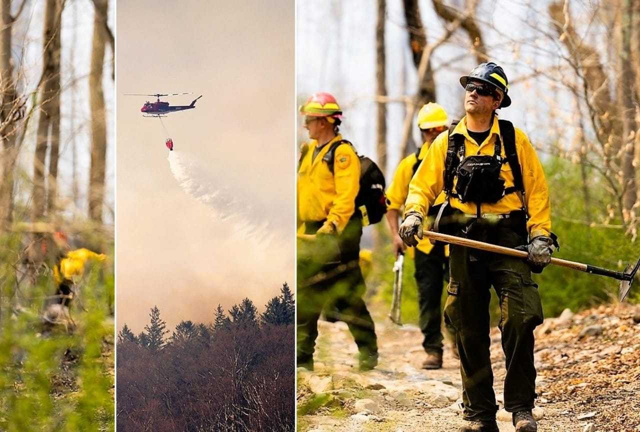 That'S ALL, Folks: Threat From Largest North Jersey Wildfire In 13 ...