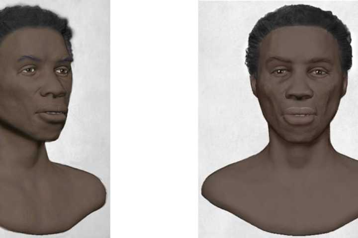 Human Skull, Decomposed Remains Found In Baltimore Depicted In New Composite Sketch