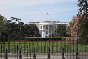 Stamford Man Who Jumped White House Fence Avoids Jail