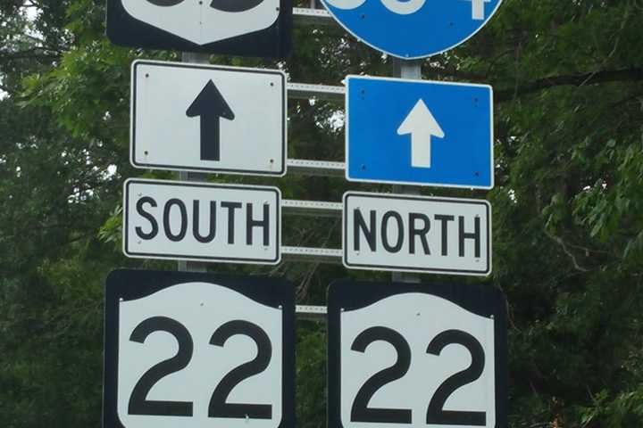 Downed Tree On Route 22, I-684 Delays In Northern Westchester
