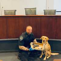 <p>Village of Mamaroneck Officer Colasacco pictured with his K9 partner, Ike. The two discovered a loaded 9mm semi-automatic handgun during a traffic stop.</p>